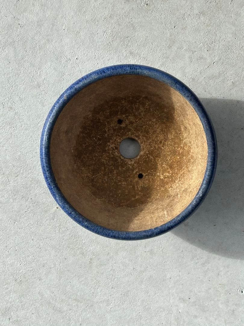 【名工】常滑焼 美功 盆栽鉢 4点まとめ売り 小品盆栽 梨地 貫入 海鼠釉