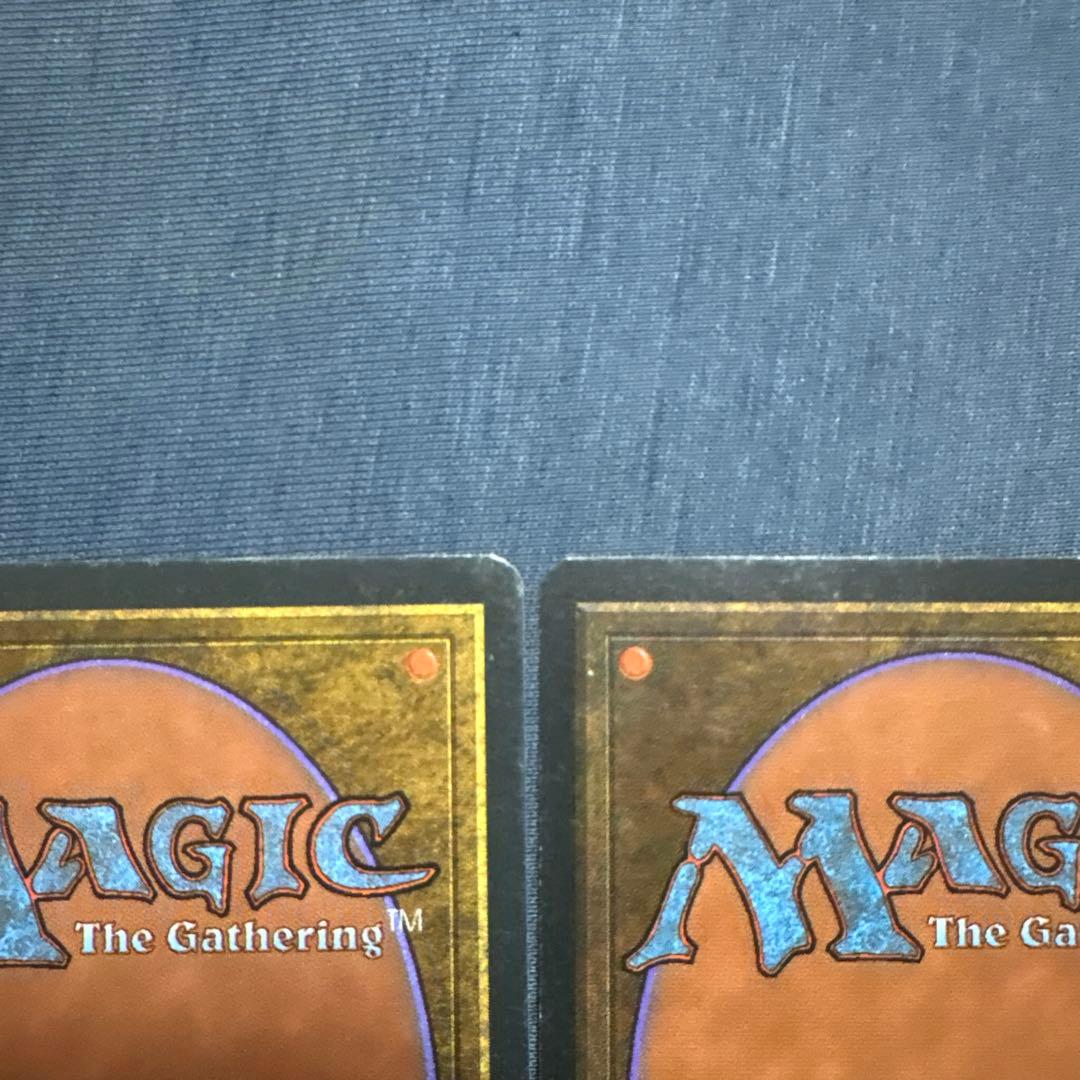 MTG アダーカー荒原　英語版２枚セット
