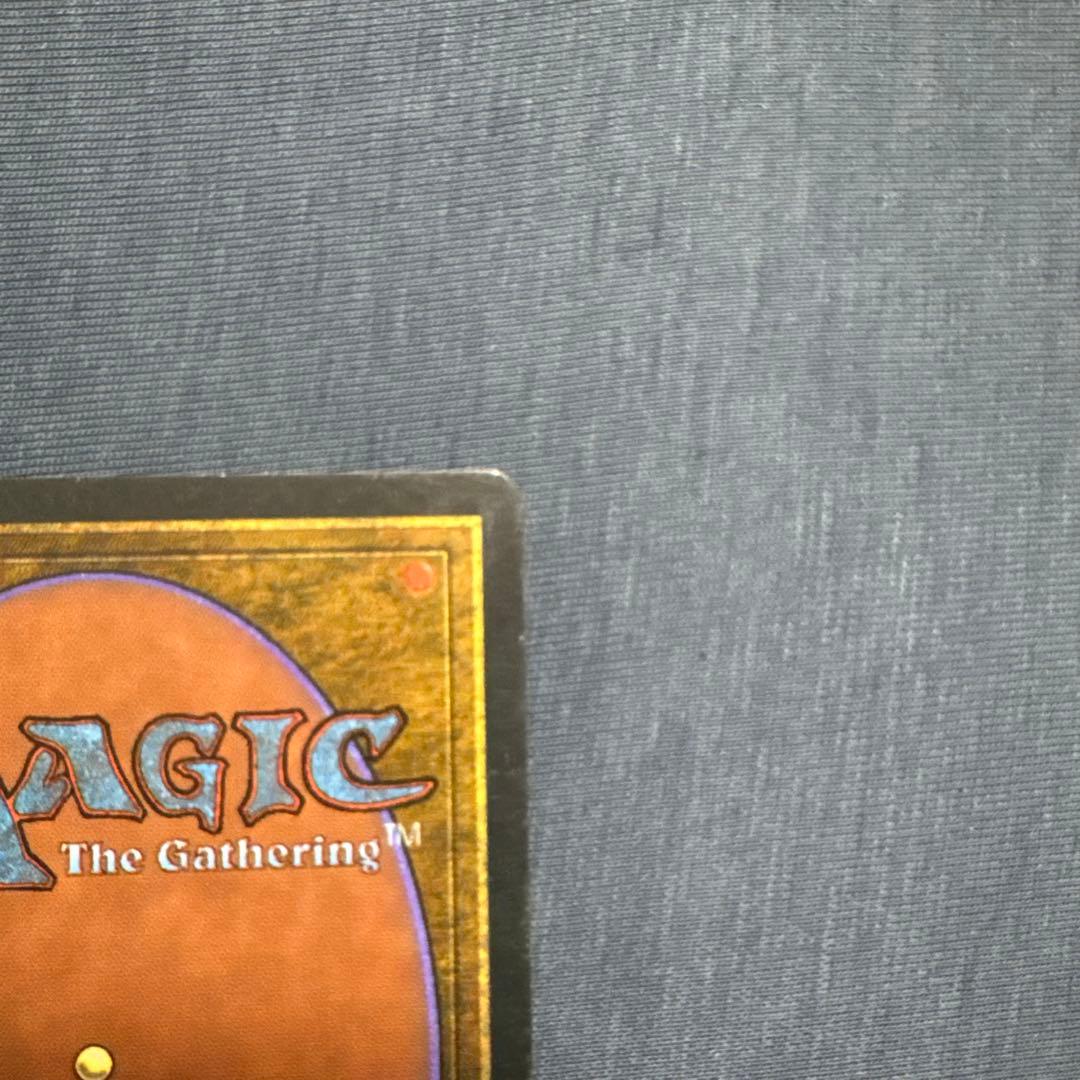 MTG アダーカー荒原　英語版２枚セット