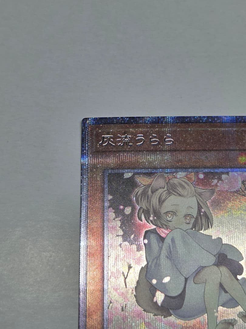 遊戯王　OCG 灰流うらら プリズマ　イラスト違い　絵違い