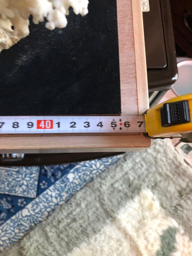 白珊瑚 置物 (取りに来てくれる方のみ) 札幌および近郊ならお届けも可能