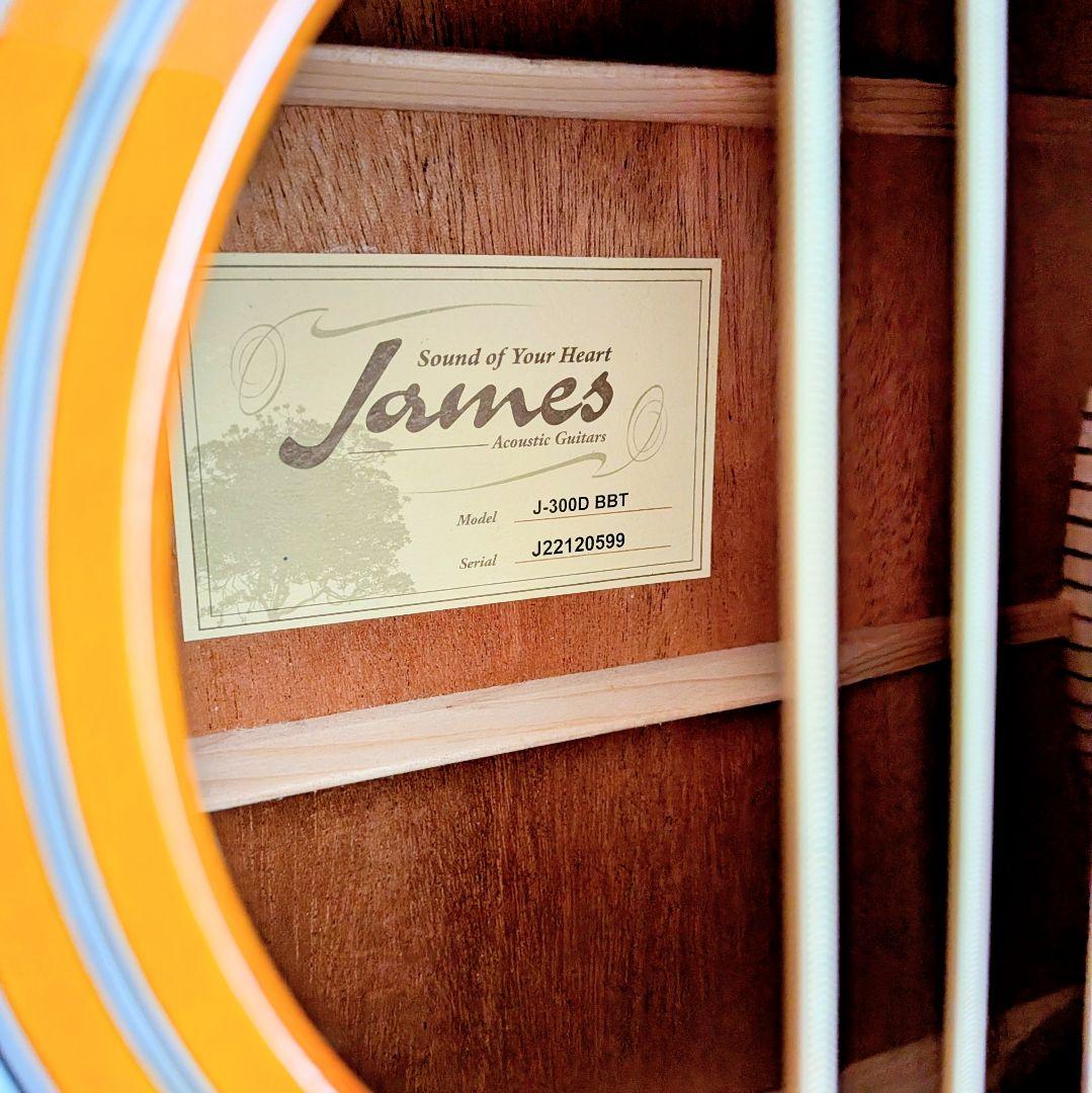 極美品　James　ドレッドノート　島村楽器　トップ単板