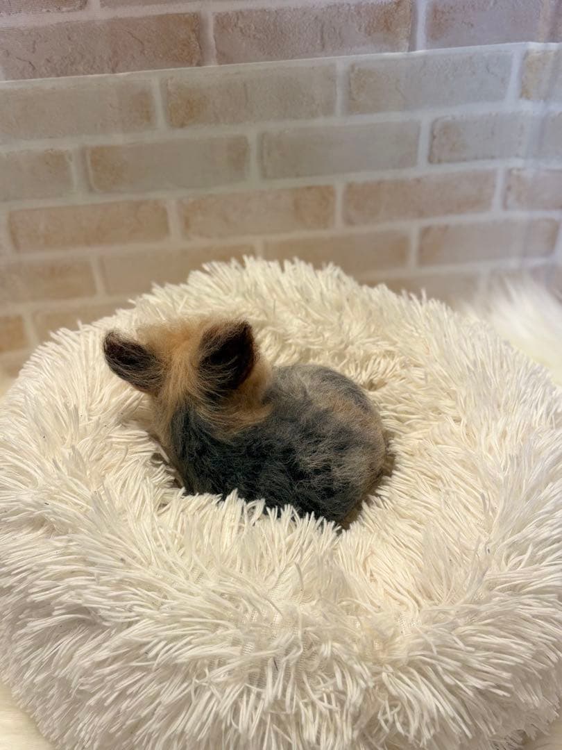 ヨークシャテリア　羊毛フェルト　momoichgo ヨーキー