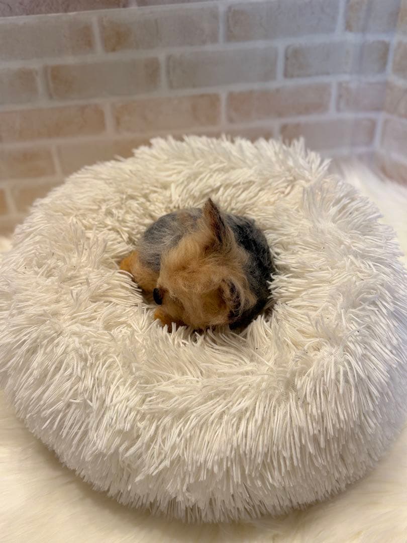 ヨークシャテリア　羊毛フェルト　momoichgo ヨーキー