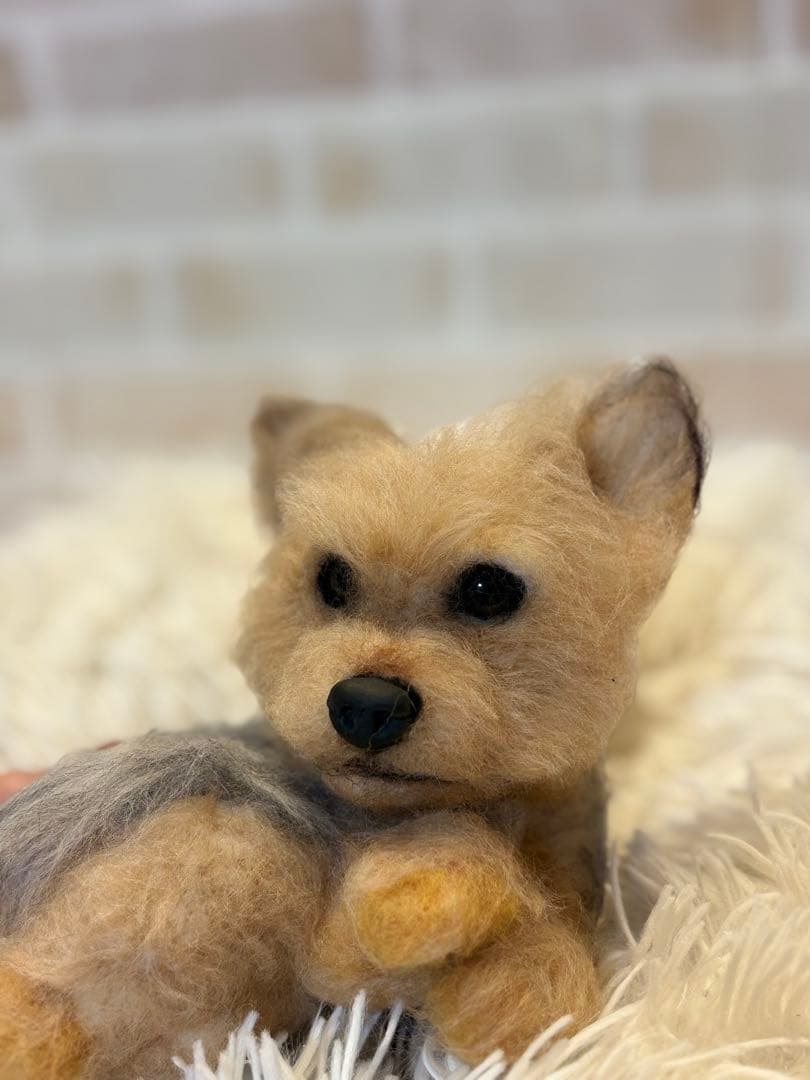 ヨークシャテリア　羊毛フェルト　momoichgo ヨーキー