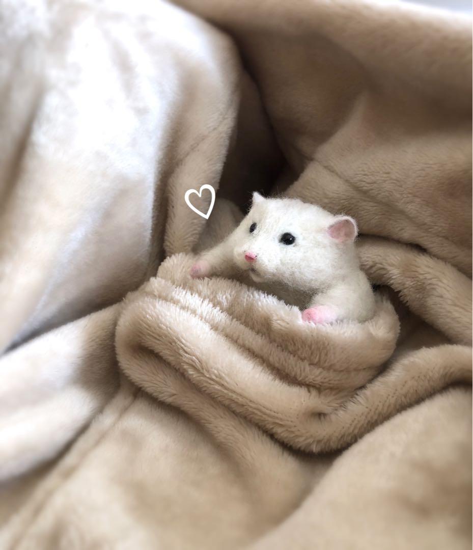 【きーぼーページ】になります☆
