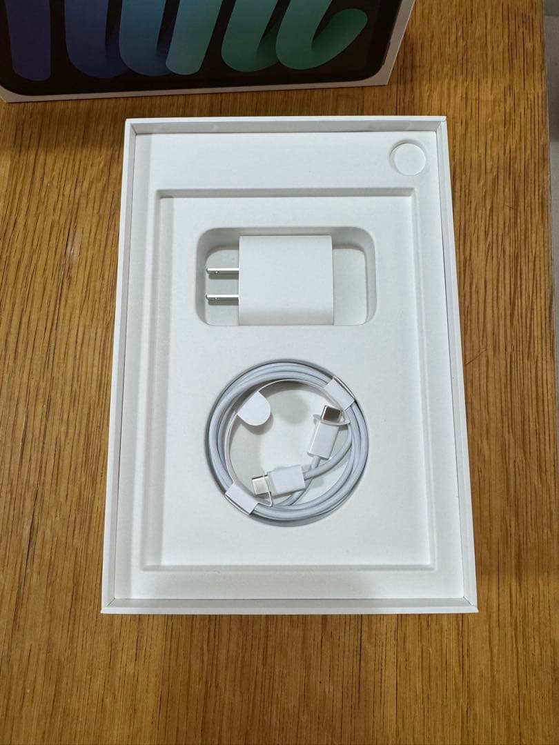 iPad本体 iPad mini 256GB Cellular + Apple pencil