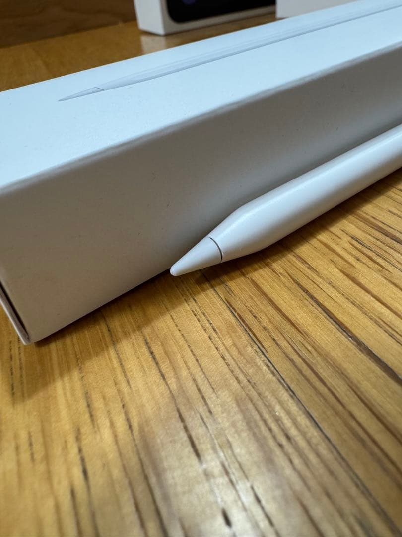 iPad本体 iPad mini 256GB Cellular + Apple pencil