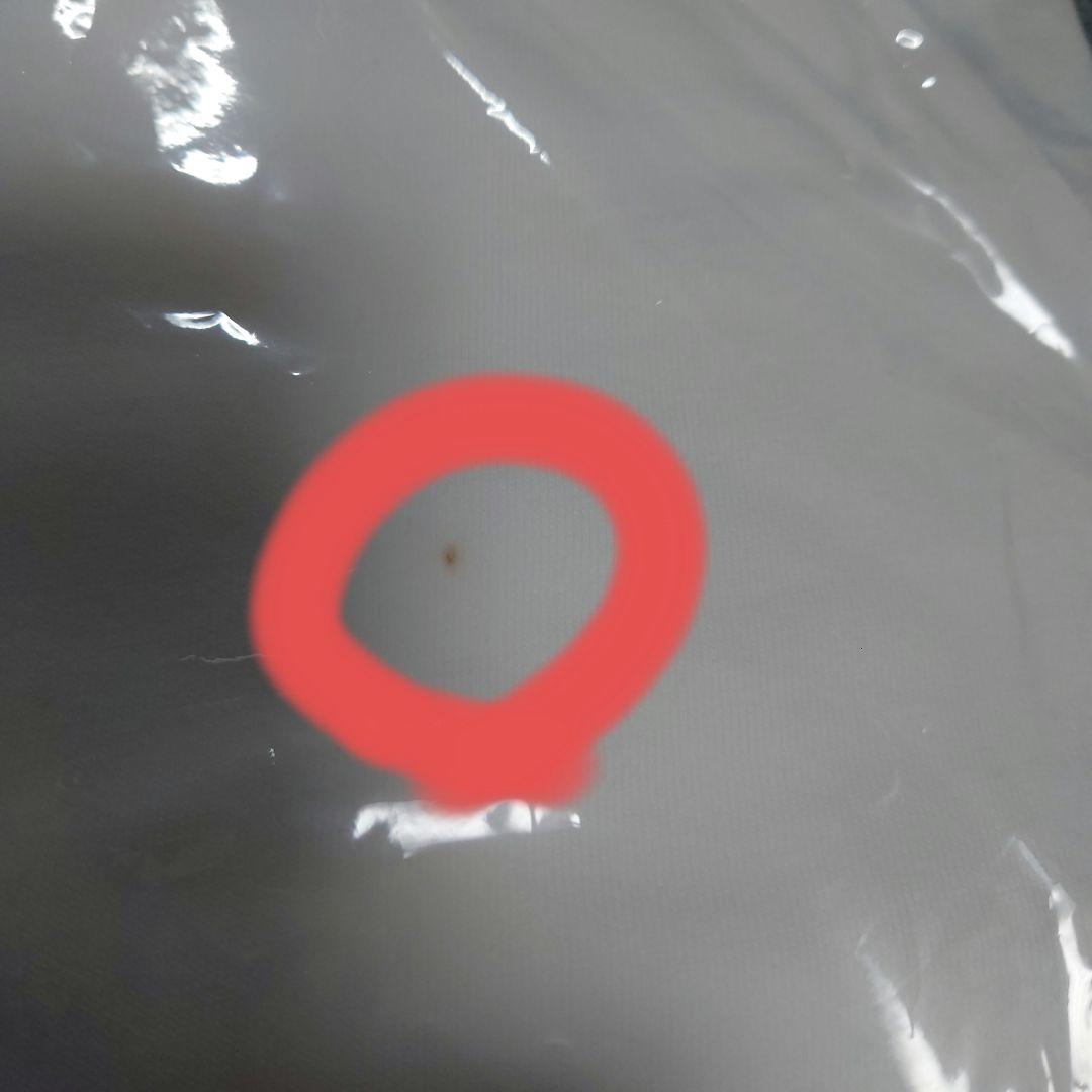 04 Limited Sazabys VERDY Tシャツ