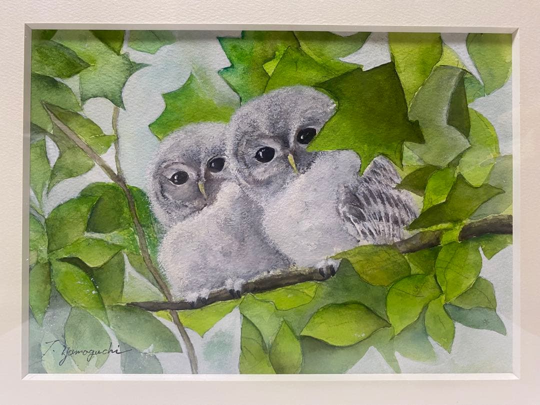 フクロウの雛 水彩画 T. Yamaguchi