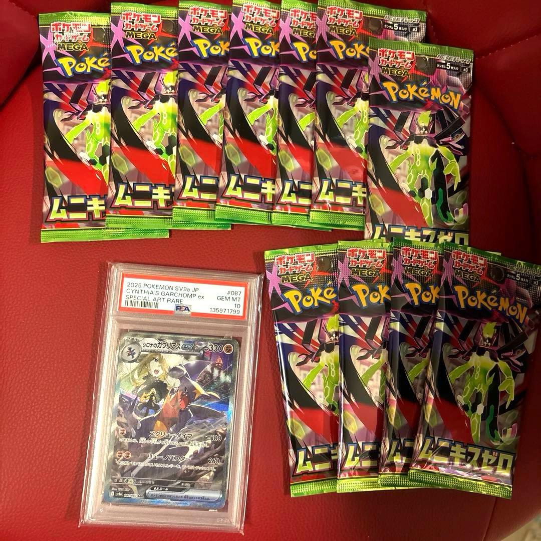 シロナのガブリアスex SAR PSA10 087/063