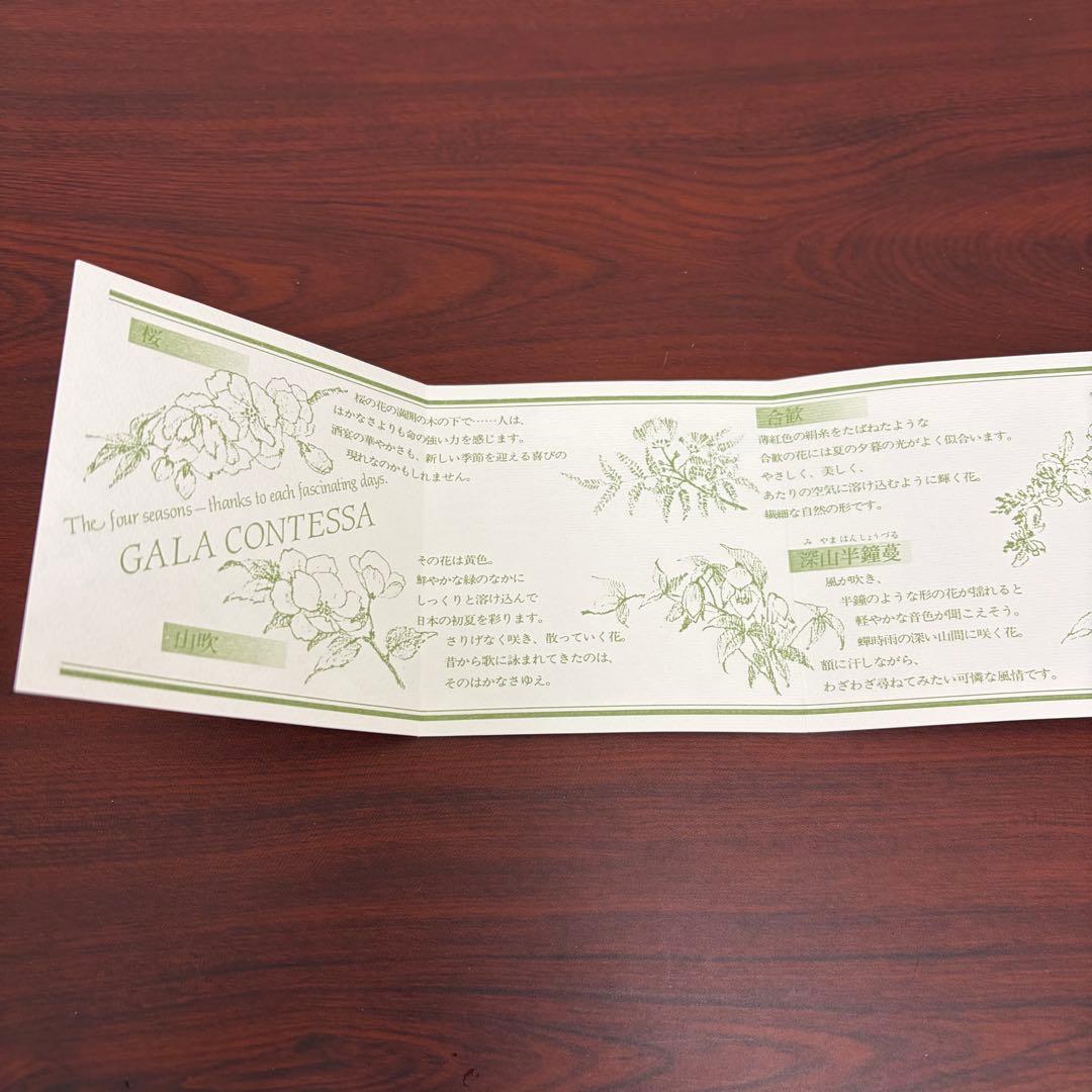 Noritake GALA CONTESSA 花柄プレート 小5枚 大1枚 箱付