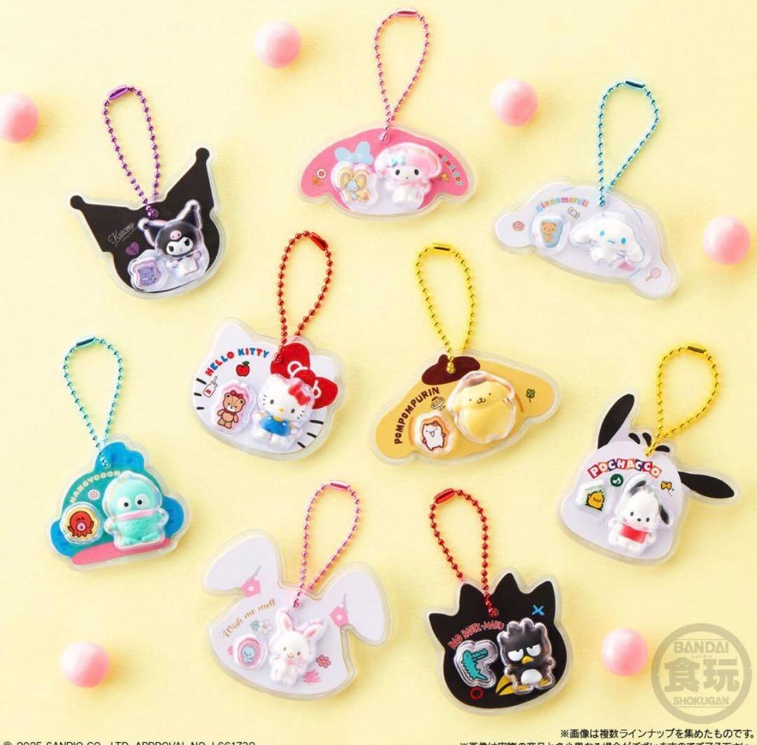 サンリオ パッケージチャーム & チョコボーロ 未開封ボックス　10個入り