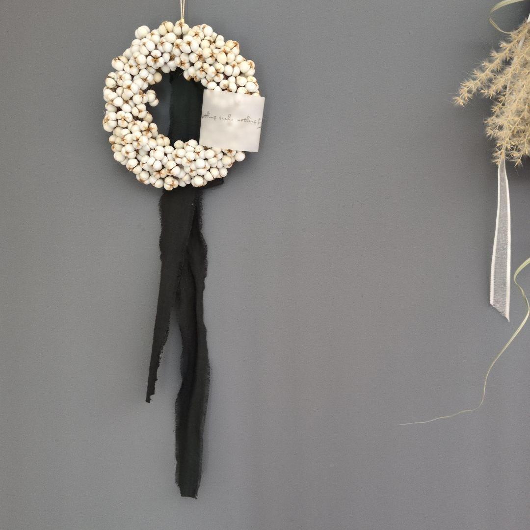 ナンキンハゼミニリース