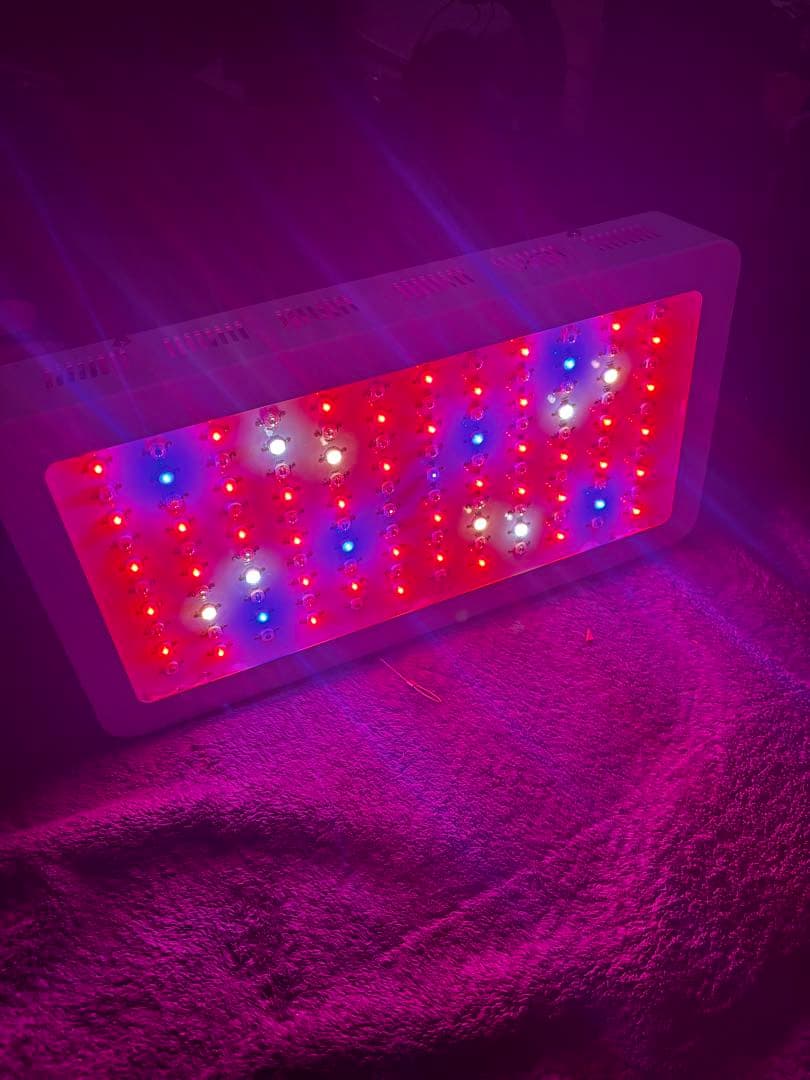 グローライト 1200W