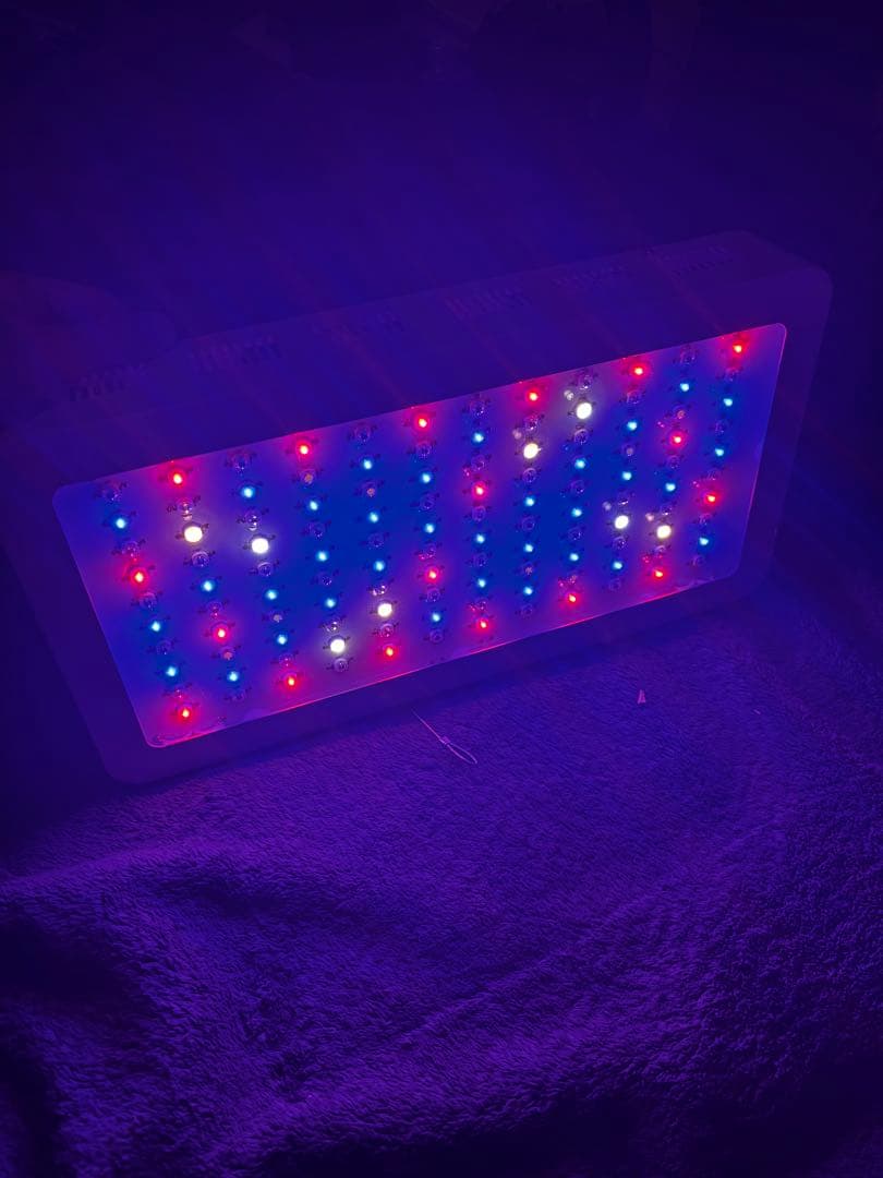グローライト 1200W