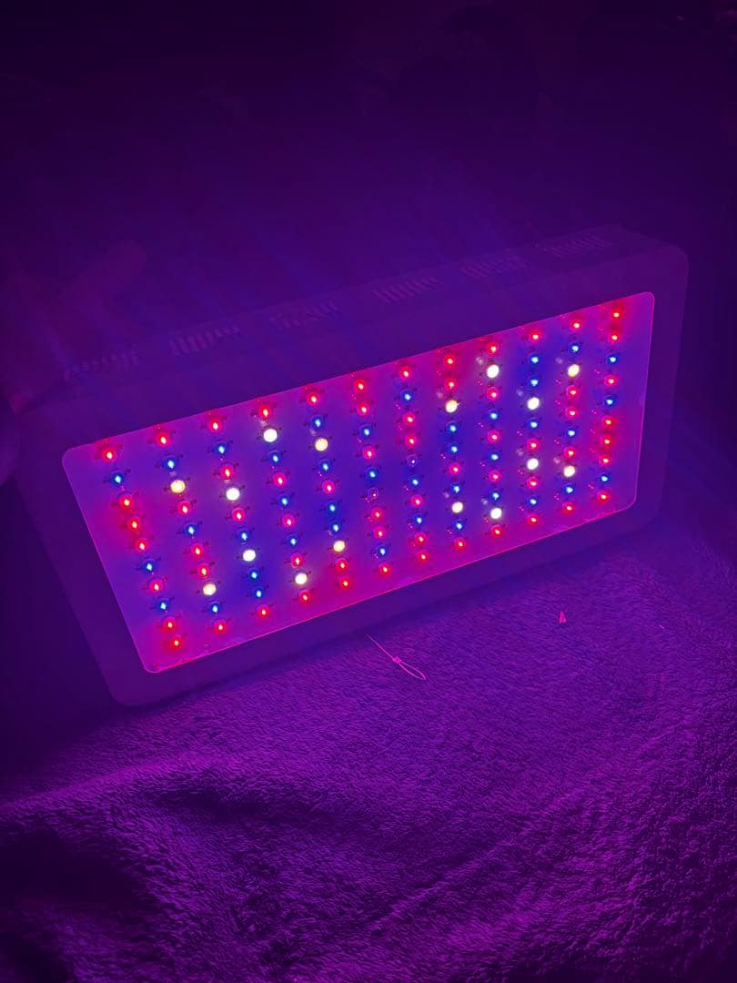 グローライト 1200W