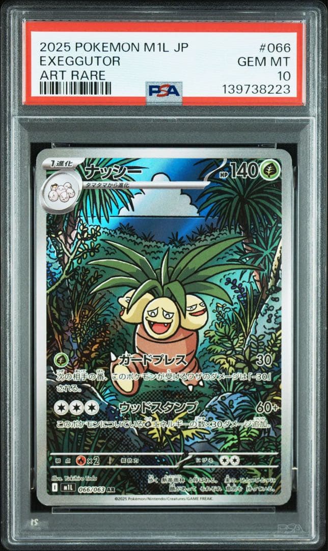 ナッシー　AR PSA10 連番