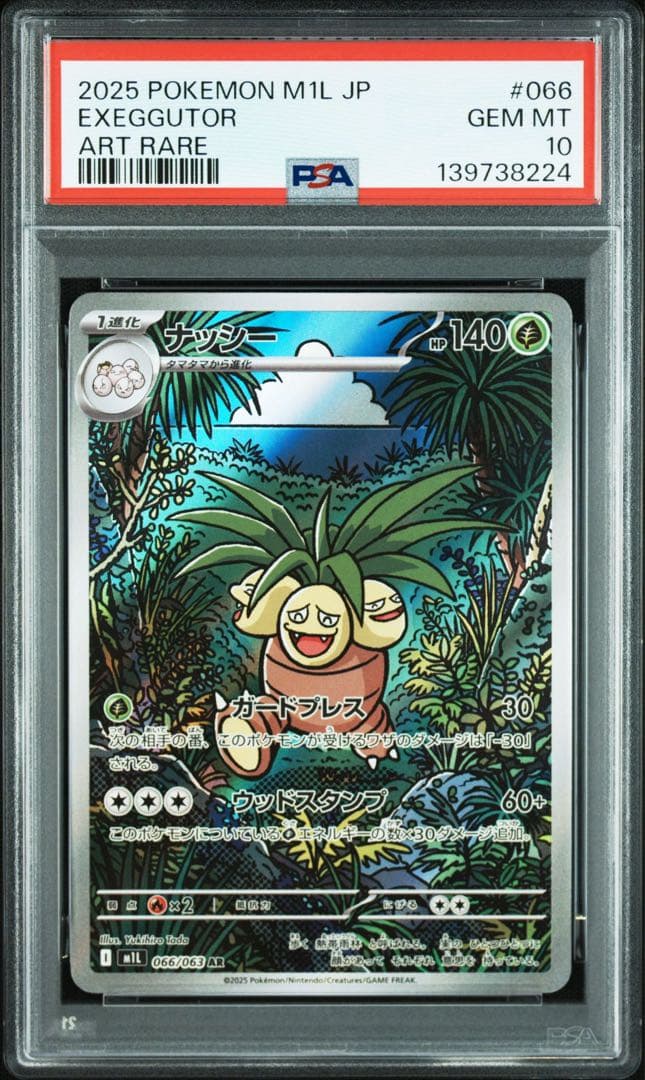 ナッシー　AR PSA10 連番