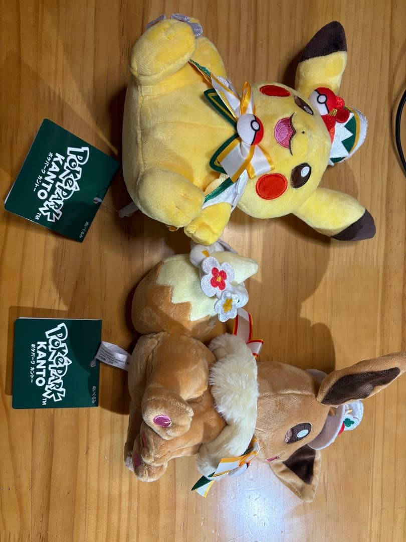 ポケパーク ハット版 ピカチュウ＆イーブイ ぬいぐるみ 大