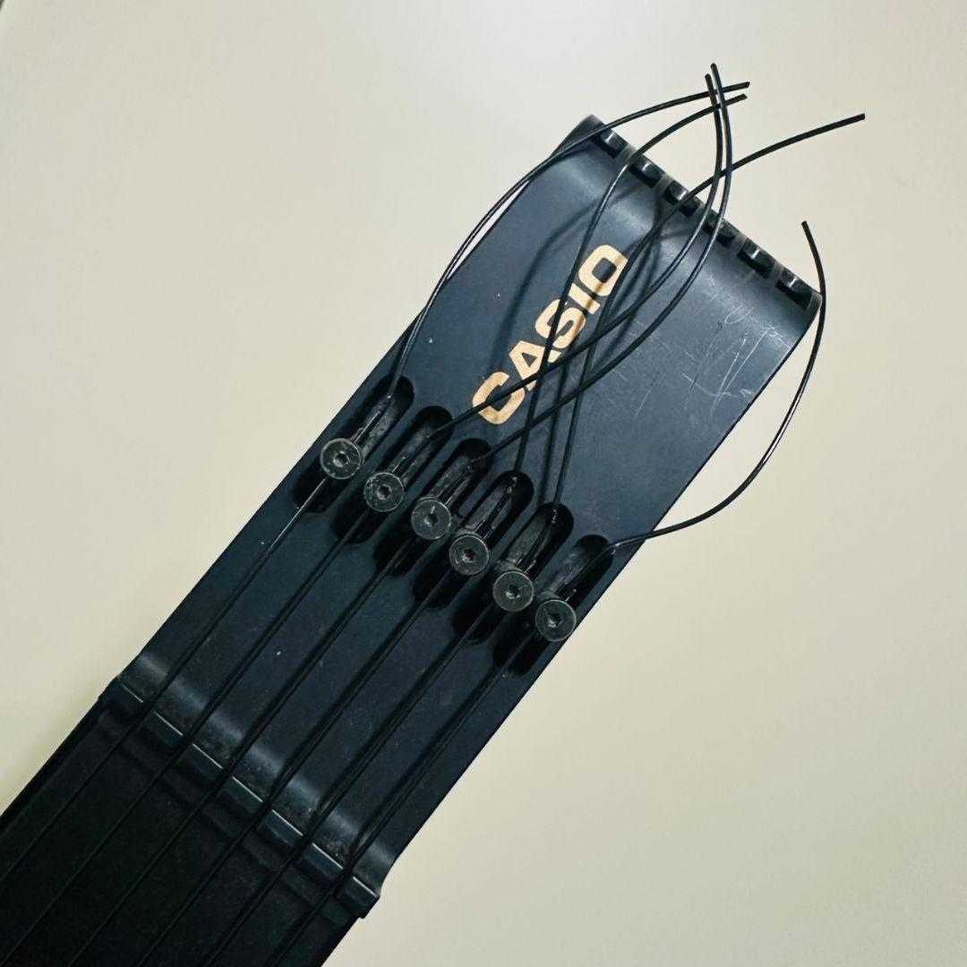 tc01 CASIO DIGITALGUITAR DG-20 本体