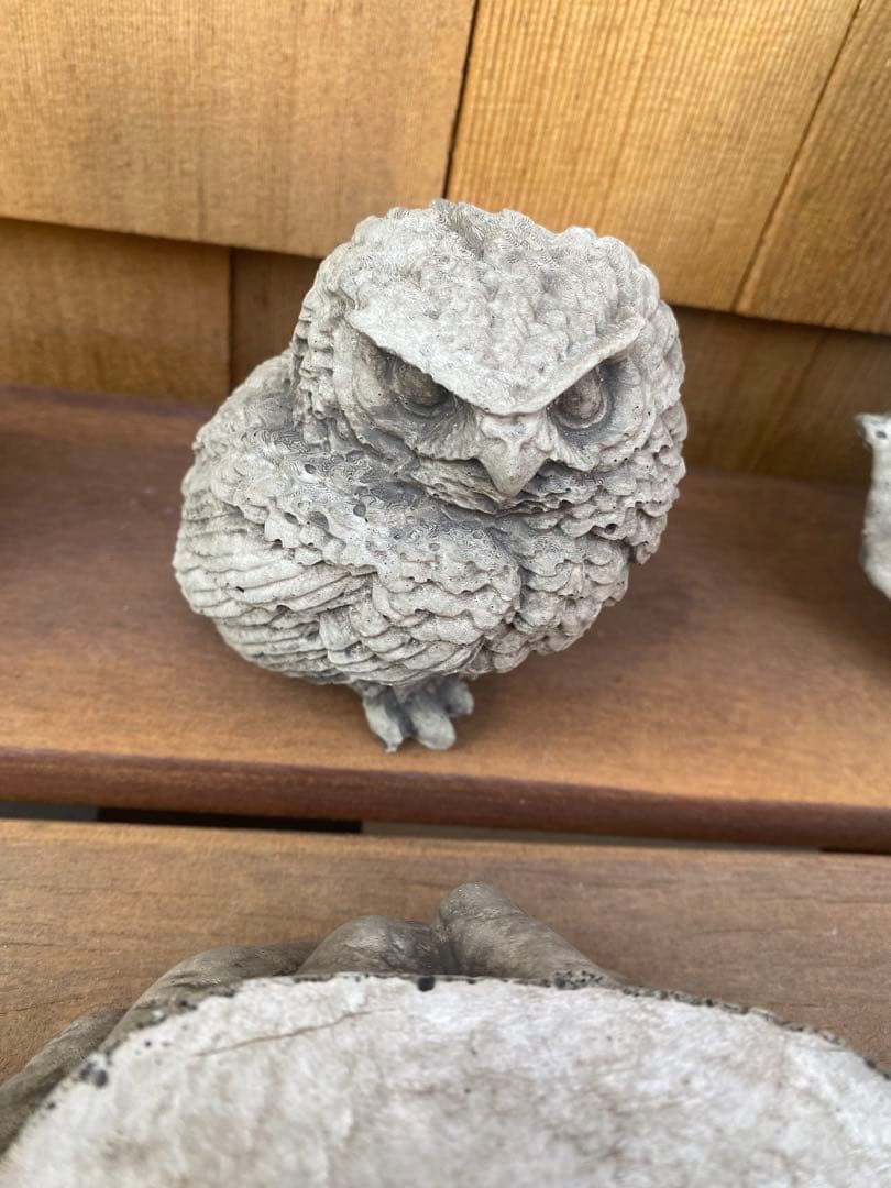 こっちゃん様確認用