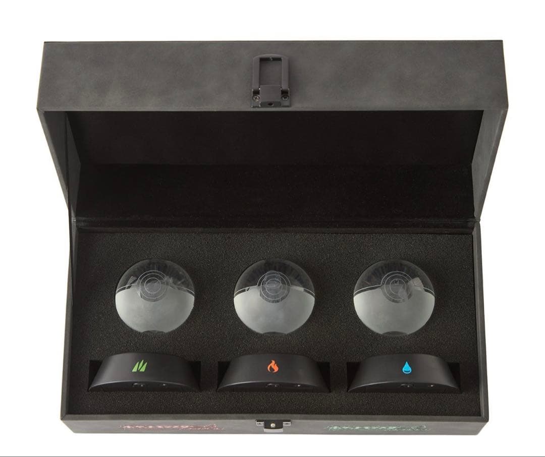 新品 ポケモン リーフグリーン 特別版 Nintendo Switch オブジェ