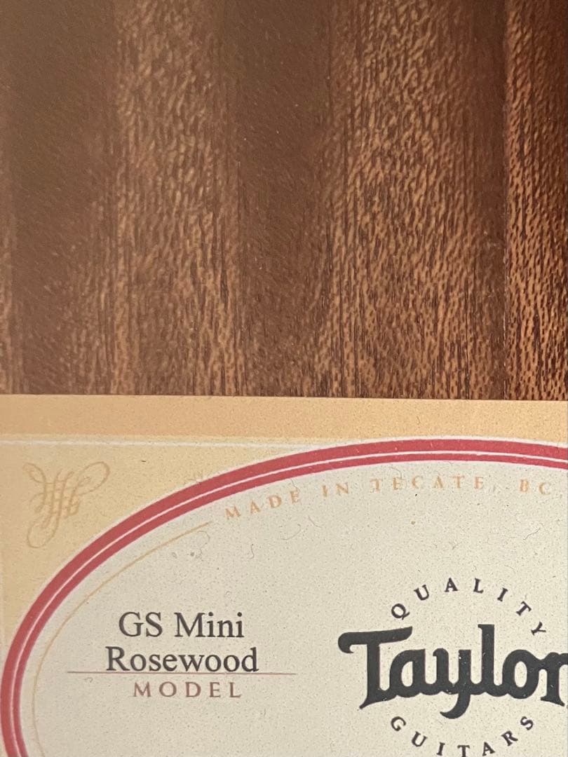TAYLOR GS mini ROSEWOOD 【美品】 専用ケース付き