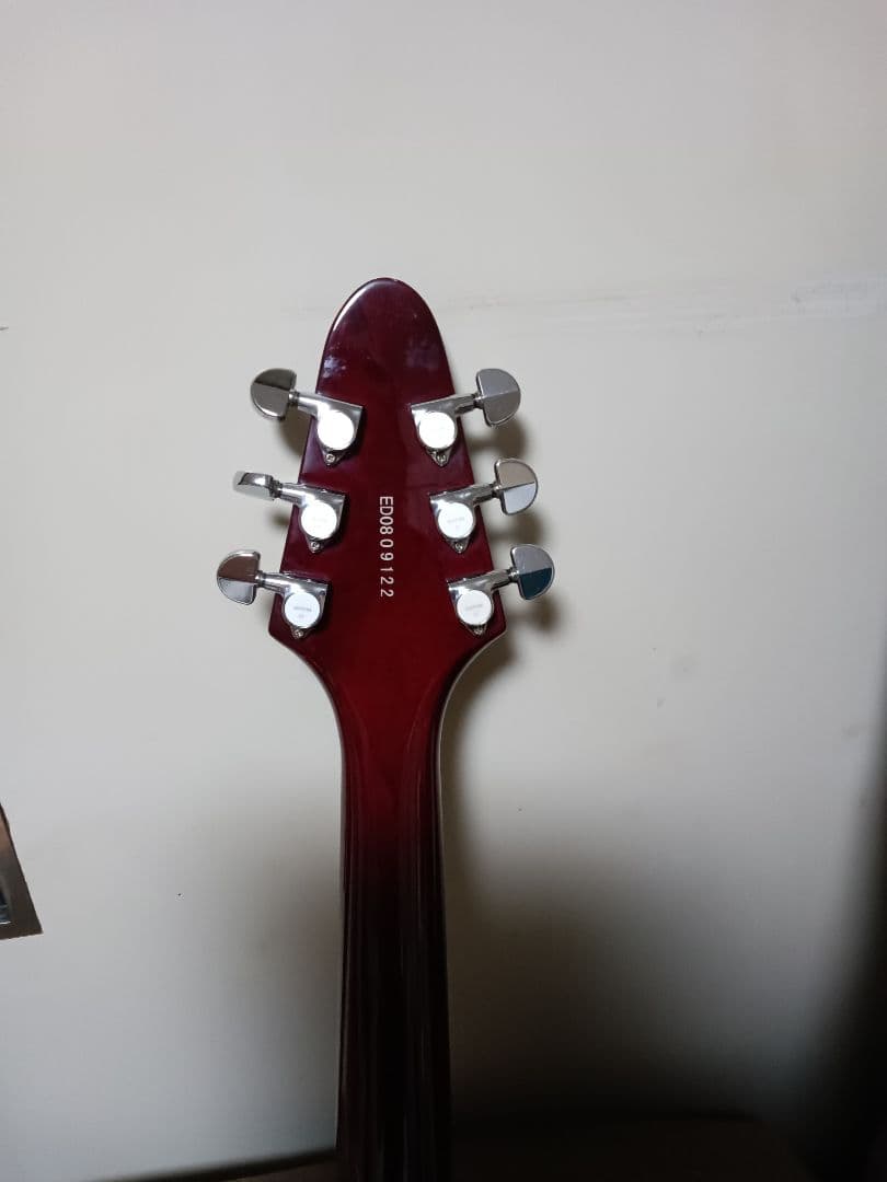 エドワーズフライングVタイプ改造品