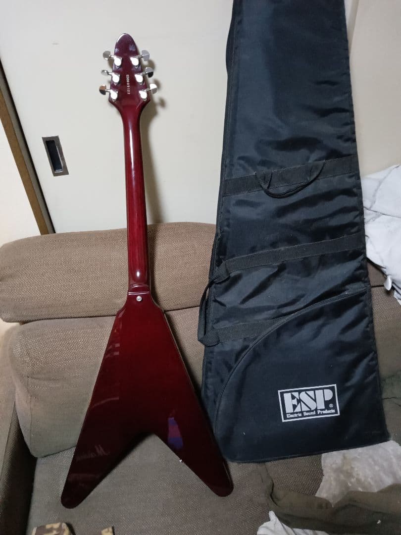 エドワーズフライングVタイプ改造品