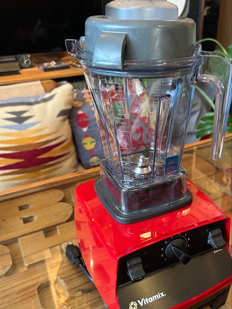 【値下げ】【未使用品】Vitamix VMO111 ブレンダー　説明書
