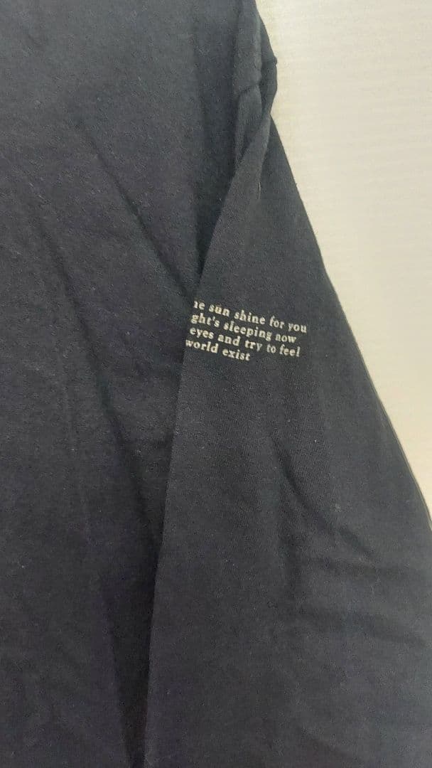 Pay money To my Pain 長袖TシャツptpXXL