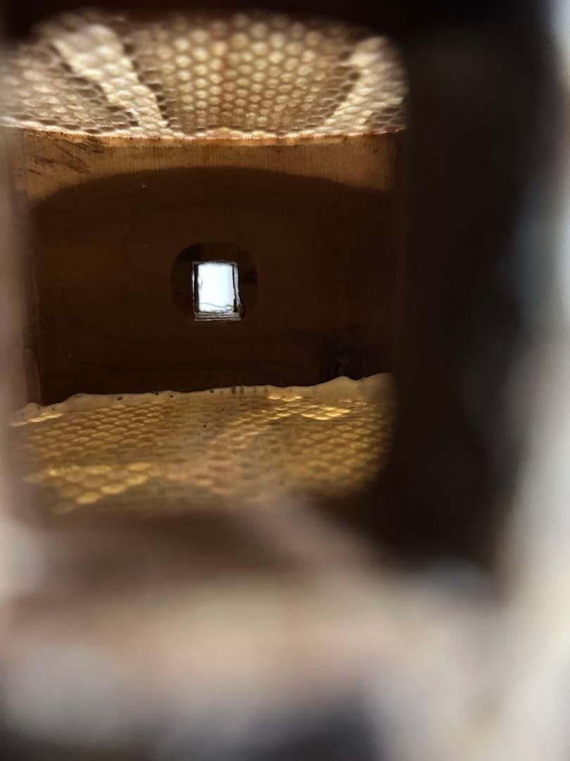 琉球楽器またよし 最高級三線 江戸與那城型 ケース付き