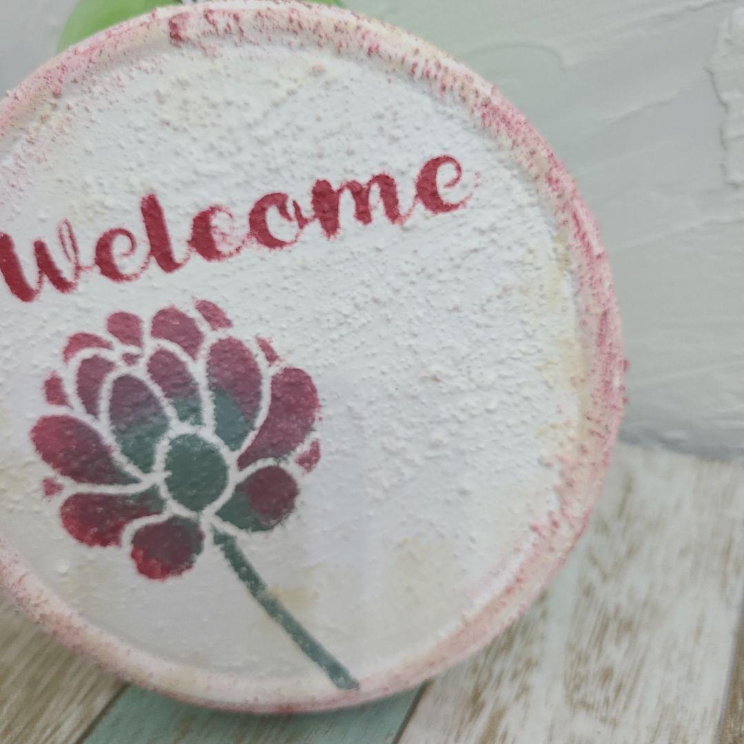 リメイク缶　ガーデンプレート　インテリアプレート　多肉植物　乙女心