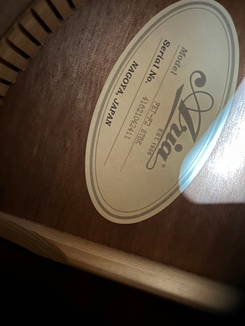 ARIA 【エレアコ】　FET-F2 STBK