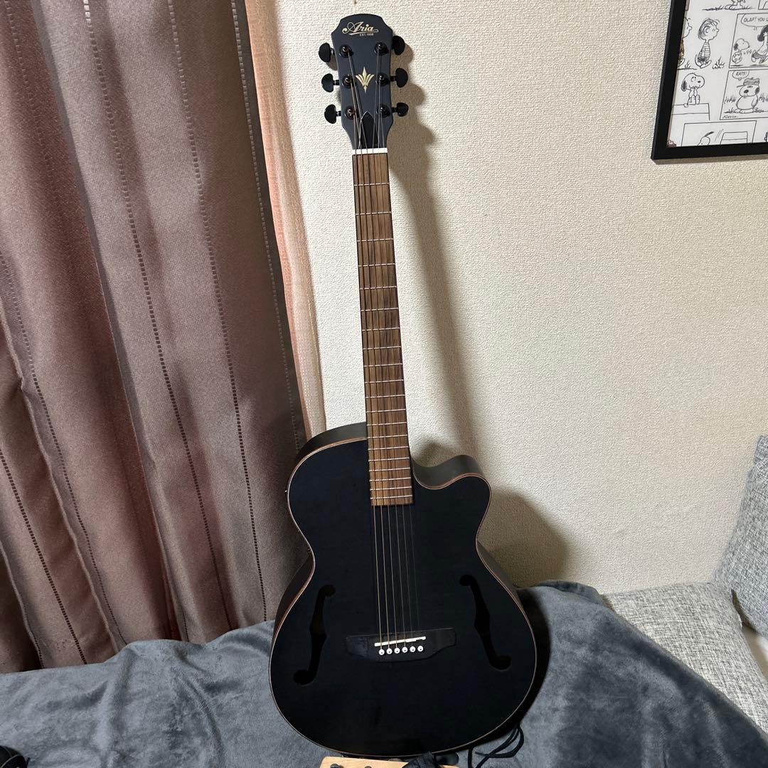 ARIA 【エレアコ】　FET-F2 STBK