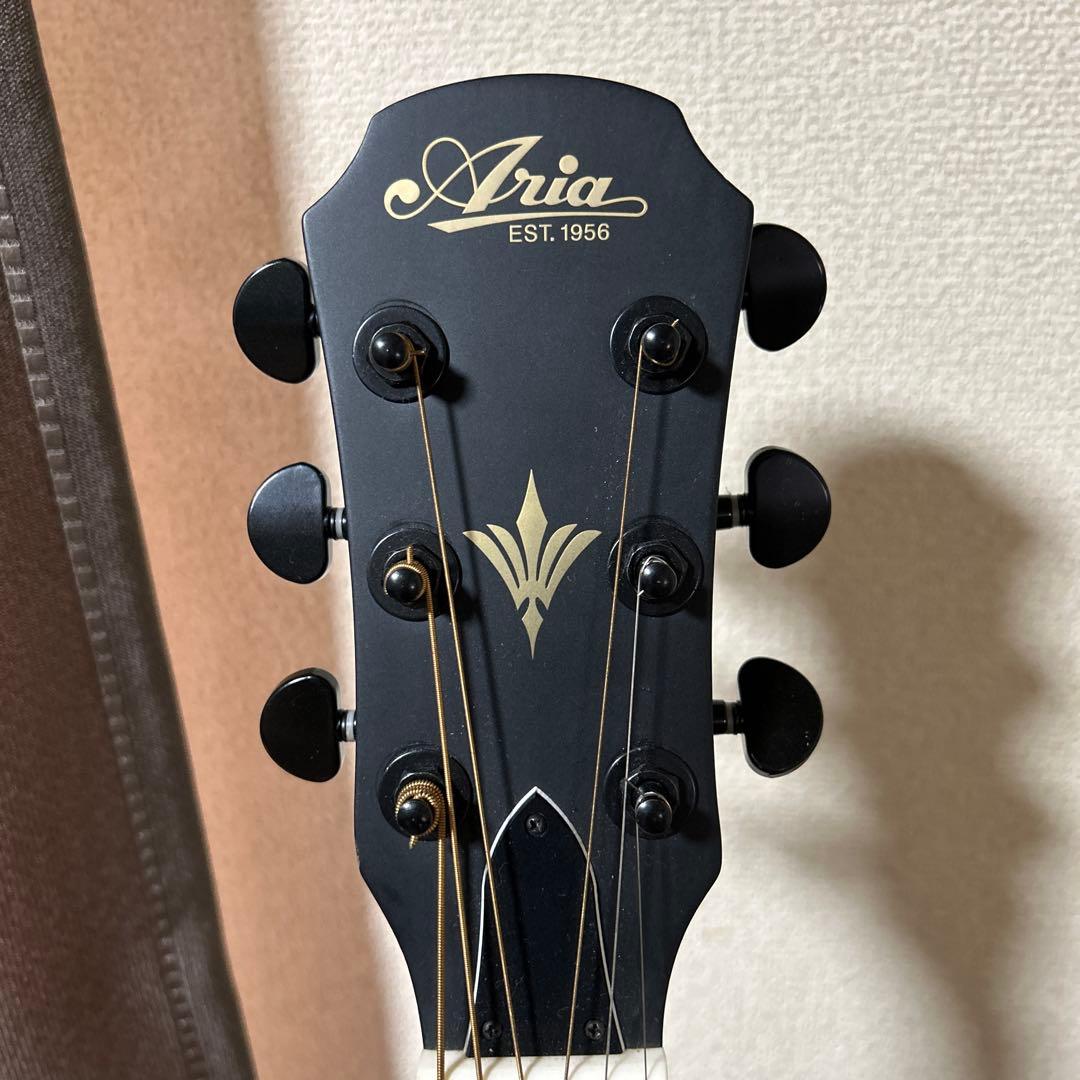 ARIA 【エレアコ】　FET-F2 STBK