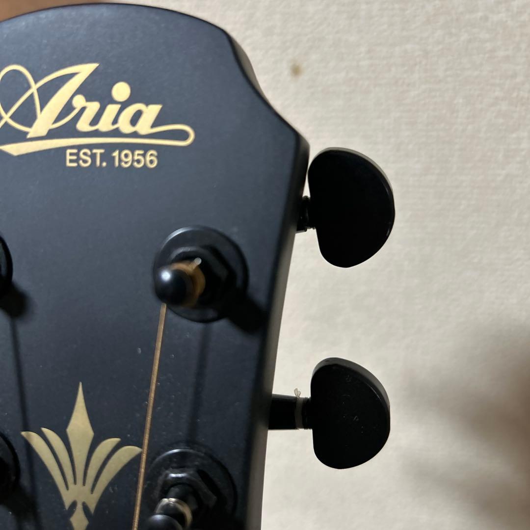 ARIA 【エレアコ】　FET-F2 STBK