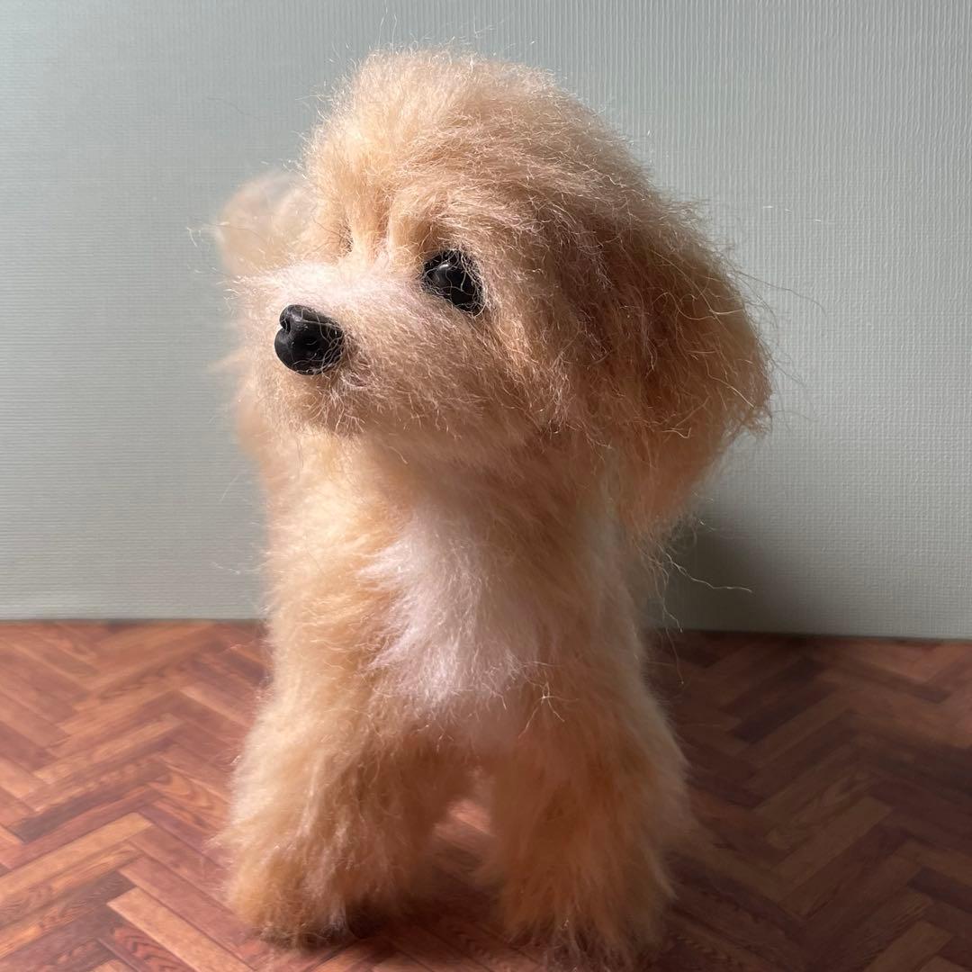 羊毛フェルト　犬　マルプー