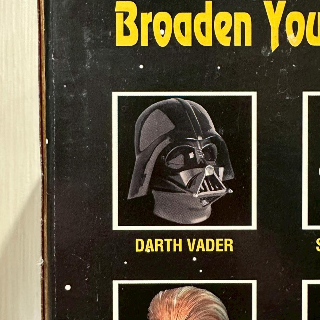 iΦ【希少】ダースベイダー STARWARS マスク ドンポスト社製 箱あり