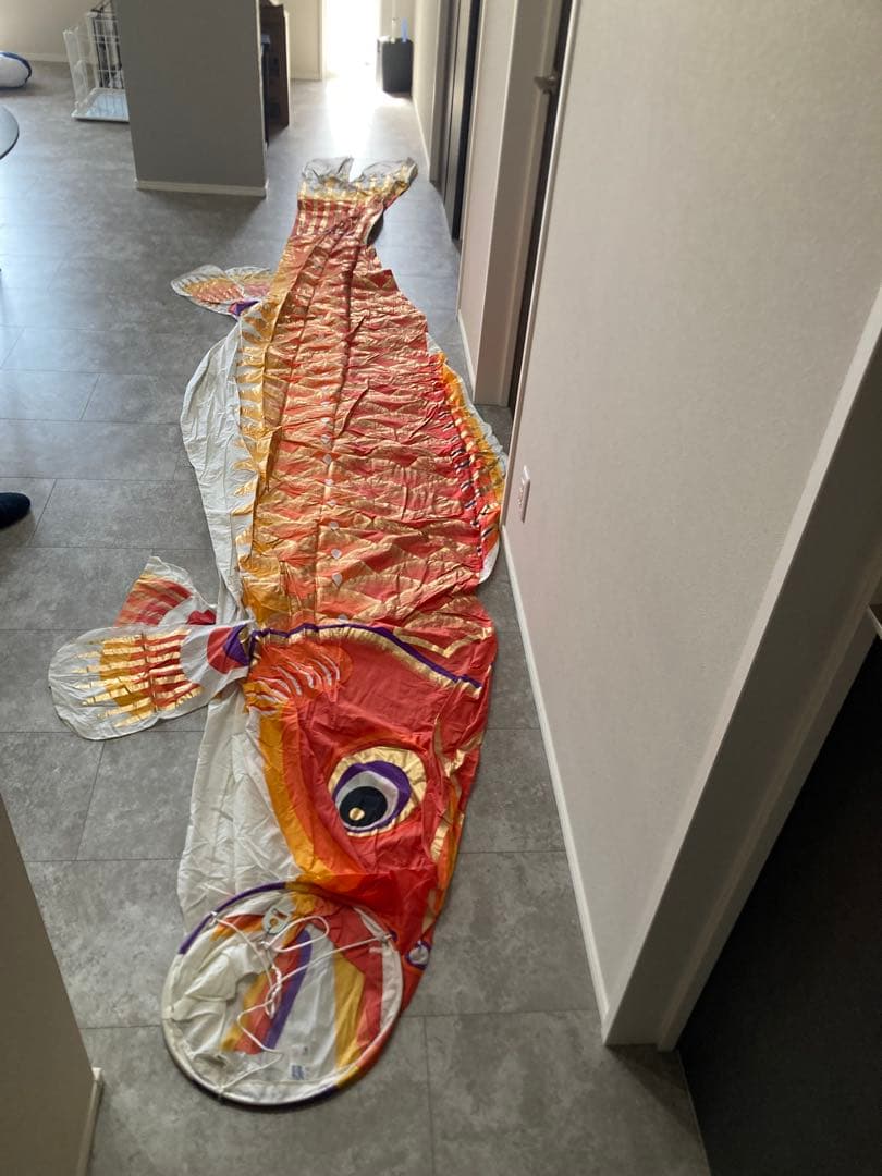 江戸6m5色・瑞祥吹流しセット こいのぼり 鯉のぼり