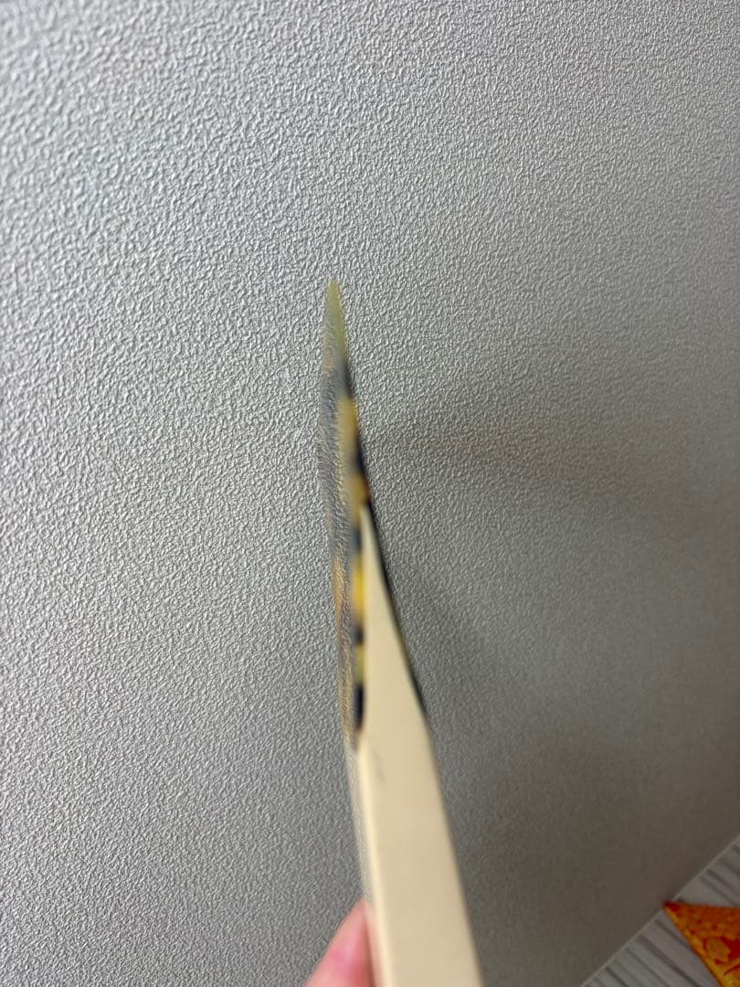 三味線バチ★べっ甲★4本セット