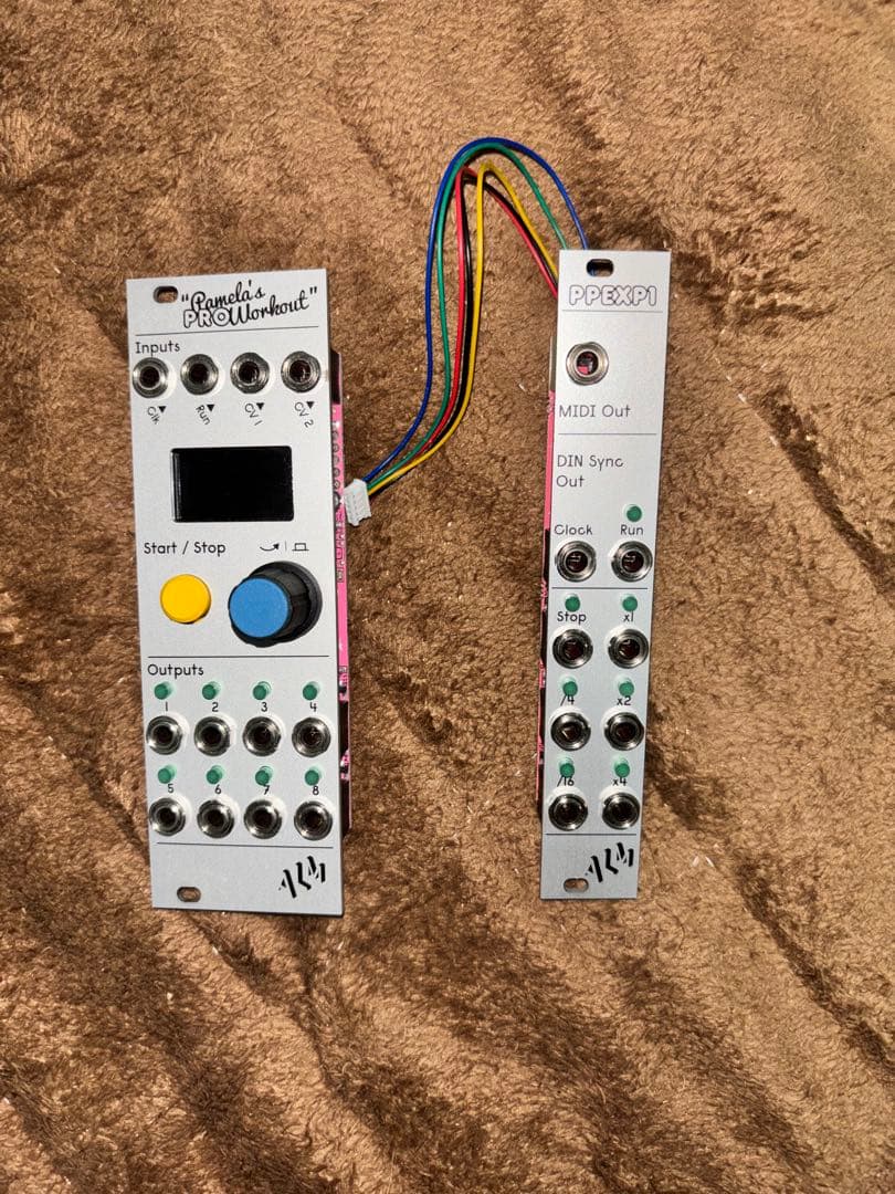 Pamela's PRO Workout & PP EXP 1 セット