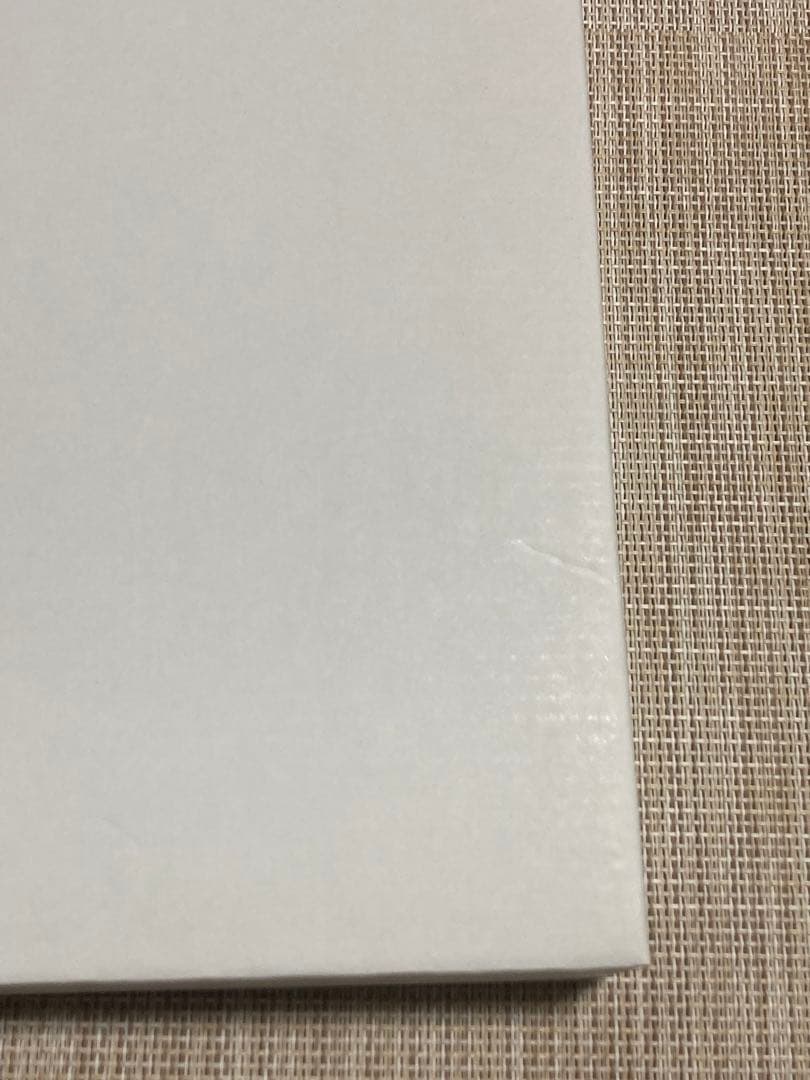 D.gray-man 原画展　クロス・マリアン　キャンバスアート　Dグレ　星野桂