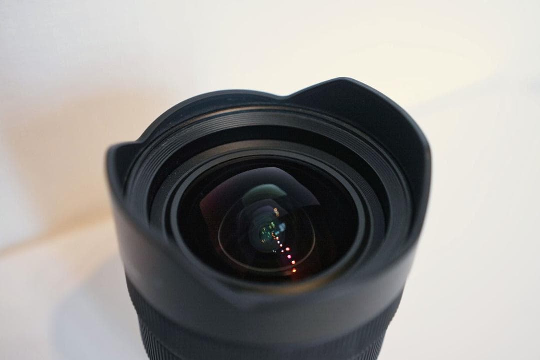 ソニー SONY ズームレンズ FE 12-24mm F4 G SEL1224G