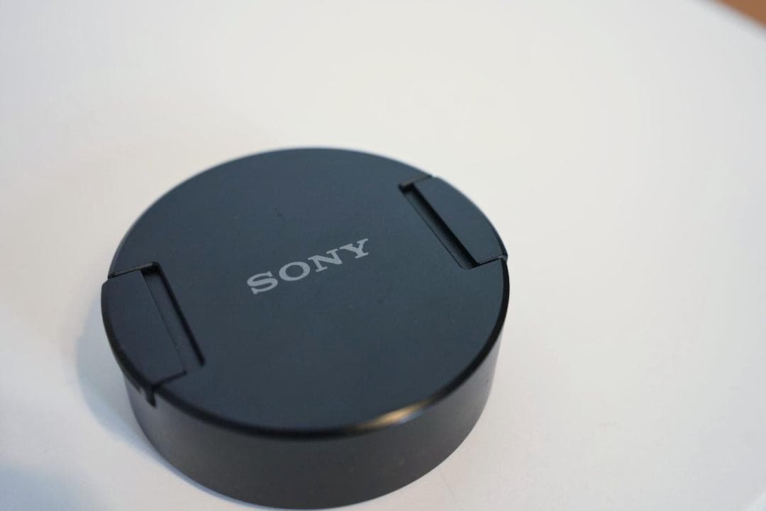 ソニー SONY ズームレンズ FE 12-24mm F4 G SEL1224G