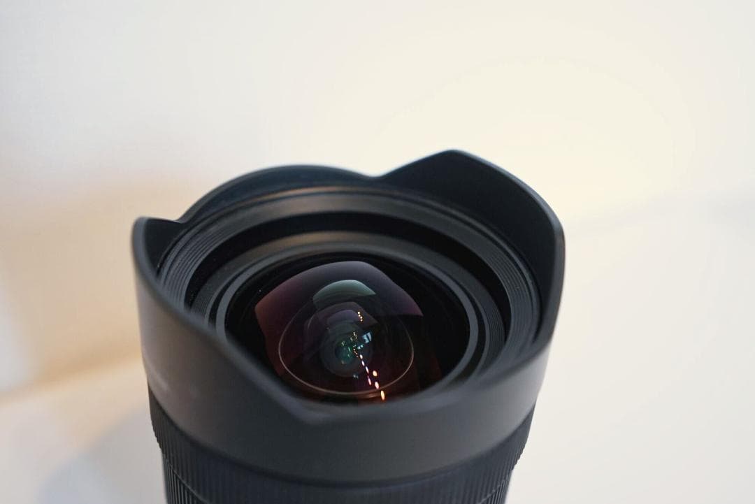 ソニー SONY ズームレンズ FE 12-24mm F4 G SEL1224G