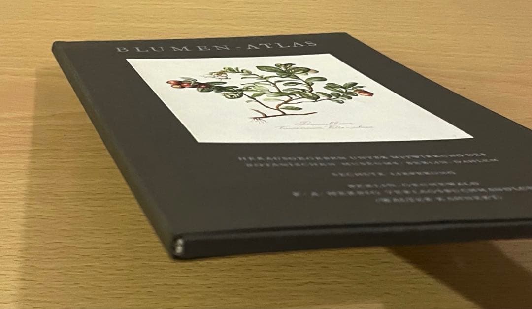 No.437ドイツ ヴィンテージ 紙もの ボタニカルアート 植物図鑑 水彩画