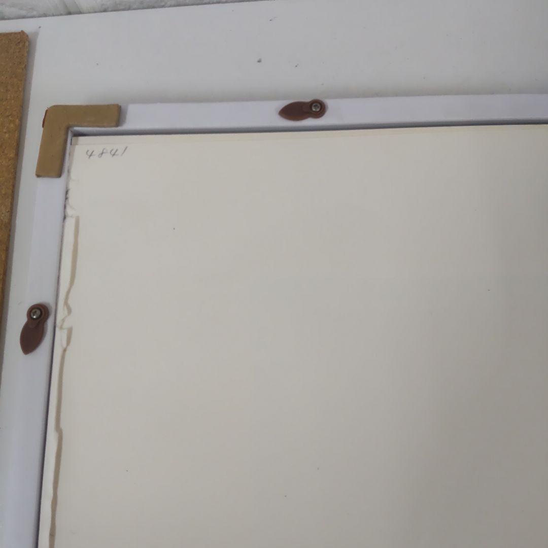 期間限 渡辺宏 大きな白クマの友達 シリアルあり