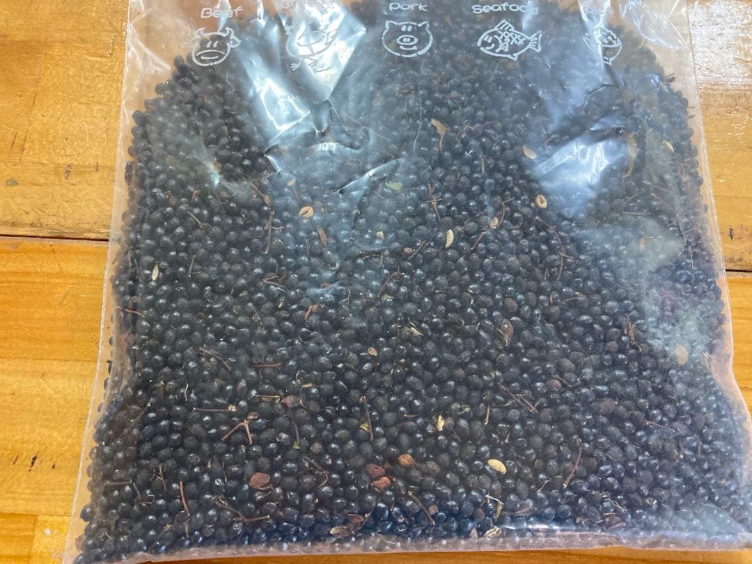 富士北麓産　山椒のタネ　種　約8,000粒　約230g